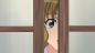 Preview: hentai-collection-vol-06